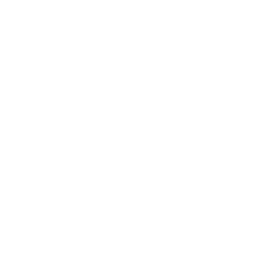 Biểu tượng NTL